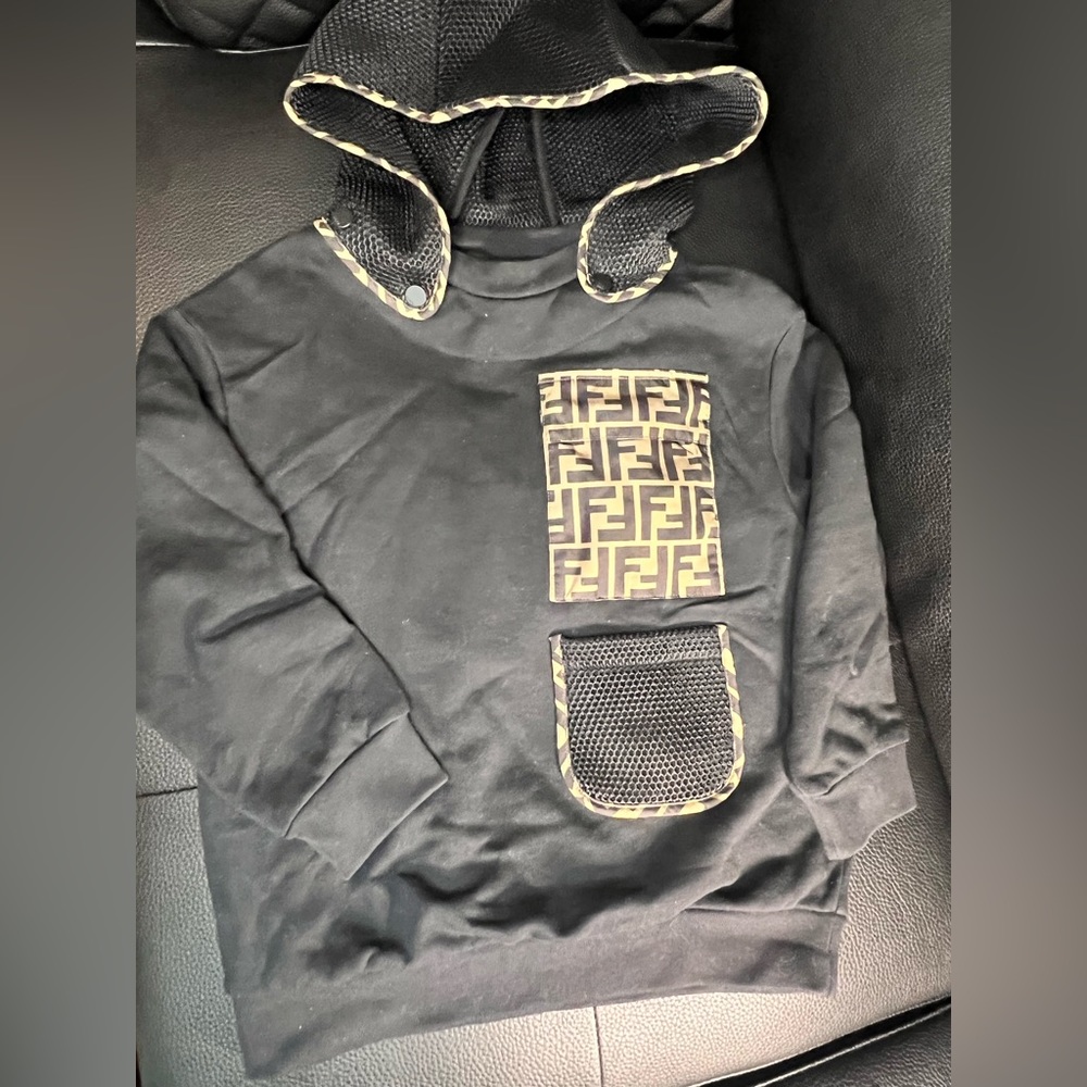 Fendi hoodie